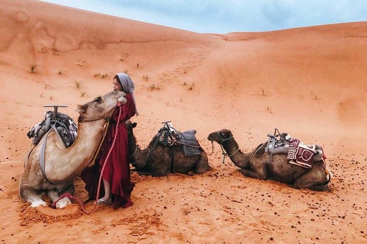 Fes to Marrakech 4 days desert tours