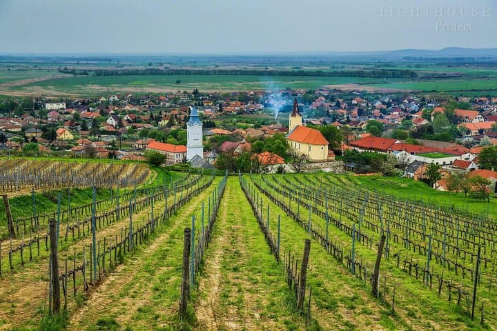 Tokaj Full Day Private Wine Tour from Budapest