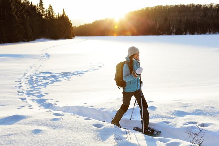 Rovaniemi Snowshoe Hike in Lappish Wilderness