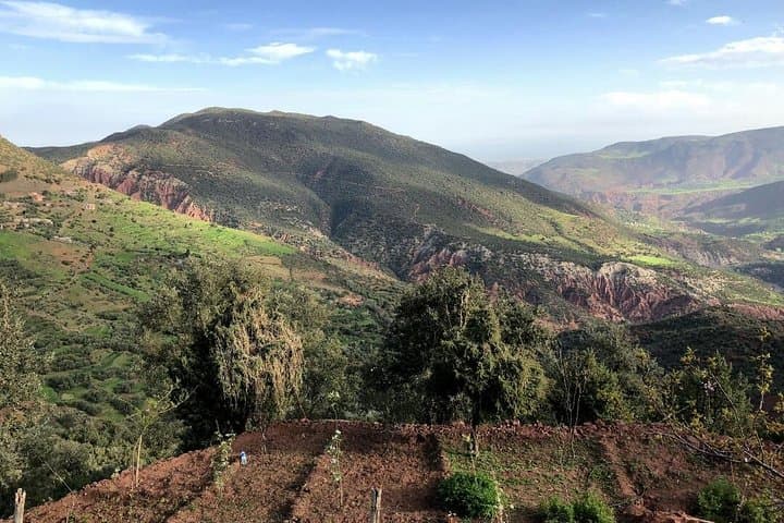 Imlil Guided day trip