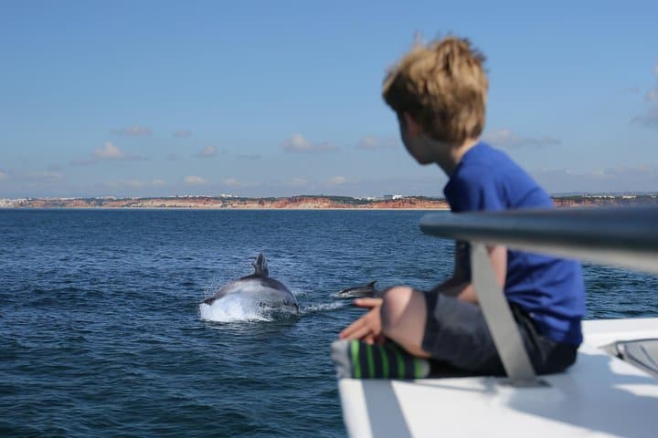 Dolphin Quest & Marine Life Search