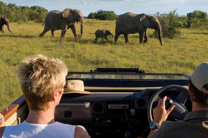 4 Day Luxe Garden Route Selection Small Group Tour from Cape Town