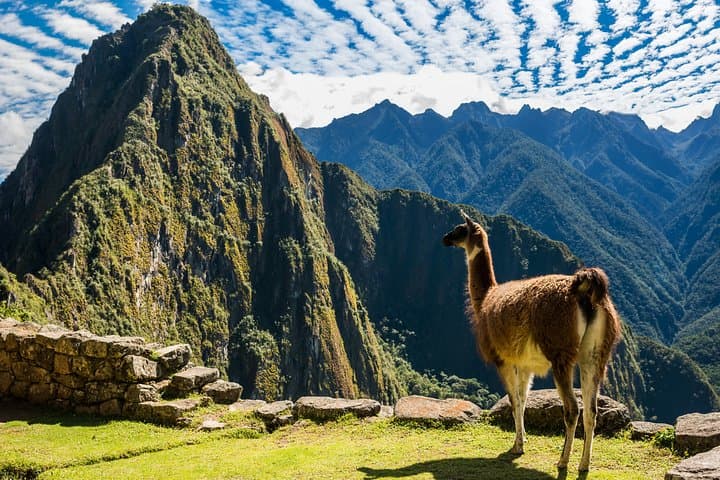 6 Days Extraordinary Peru from Lima