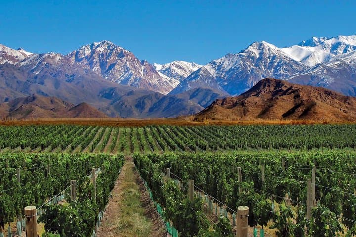 4-Day Trip to Mendoza and The Andes