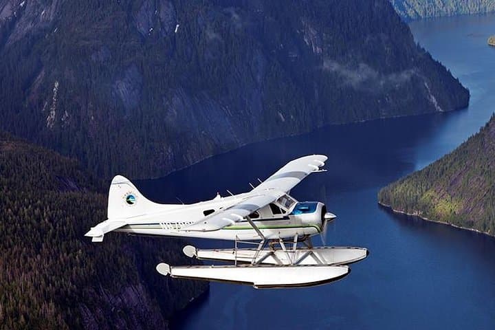 Misty Fjords Flightseeing 1 hour