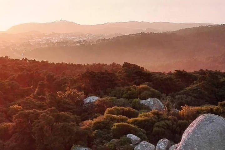 Private Evening Walk Inside the Forest: "Sintra Mountains Inbetween Wolves"