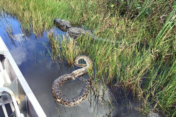 Western Everglades Adventure Tour