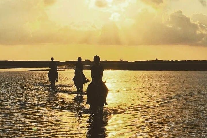 Discovery ride on horseback or camel 2h30