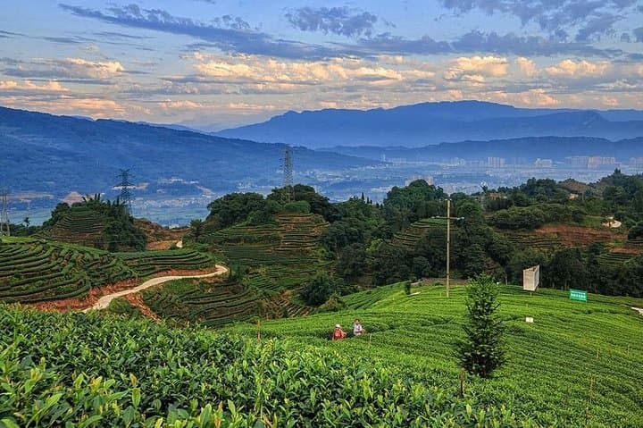 Flexible Hangzhou Private Day Tour from Suzhou by Bullet Train