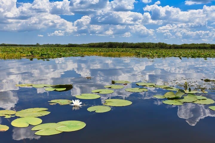 Danube Delta - 2-Days Shared Tour from Bucharest