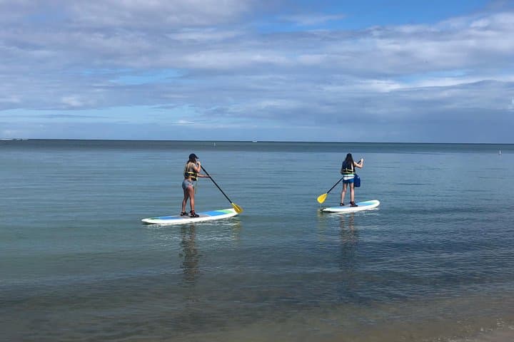 All-Day Paddleboard Rental – Fajardo, Puerto Rico