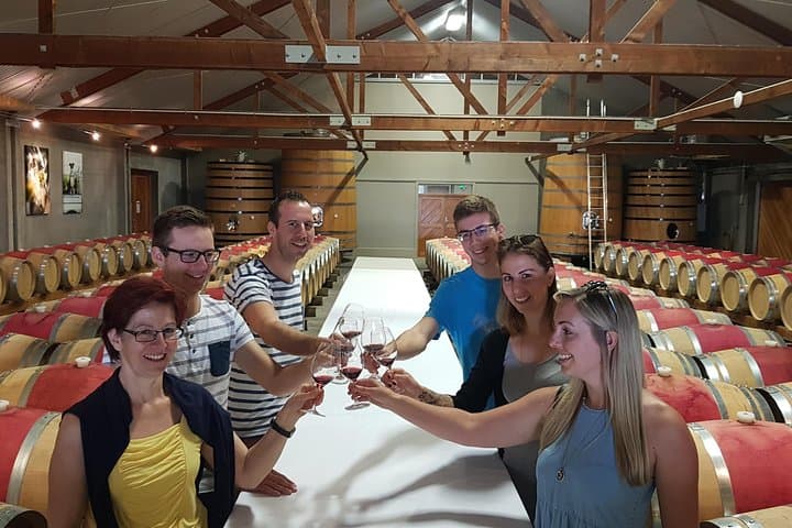 Shore Excursion Marlborough Wine Region Tour from Picton