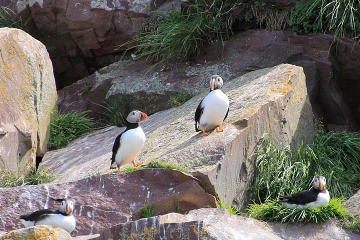 Inverness: John O'Groats, Dunrobin Castle & the Far North