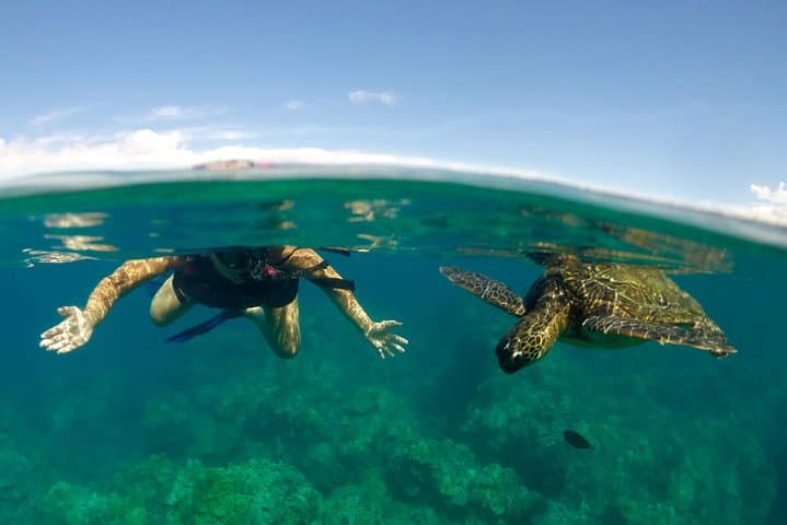 Paddle, Snorkel and Learn to Surf: All in a Day on Maui