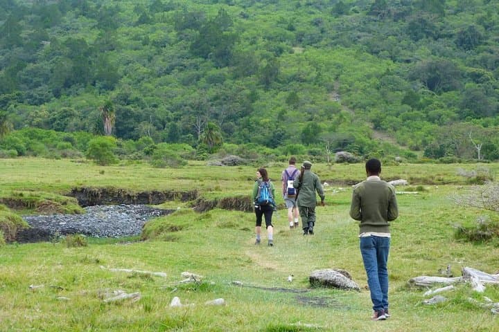 The Amaizing Private Day Trip to the lovely Arusha National Park