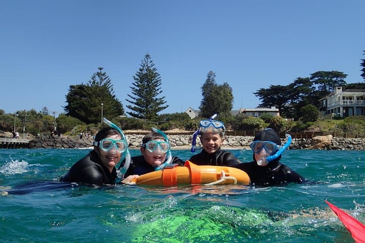 Port Phillip Bay Snorkeling with Sea Dragons