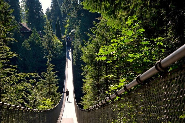 Vancouver City Tour plus Granville Island & Capilano Bridge