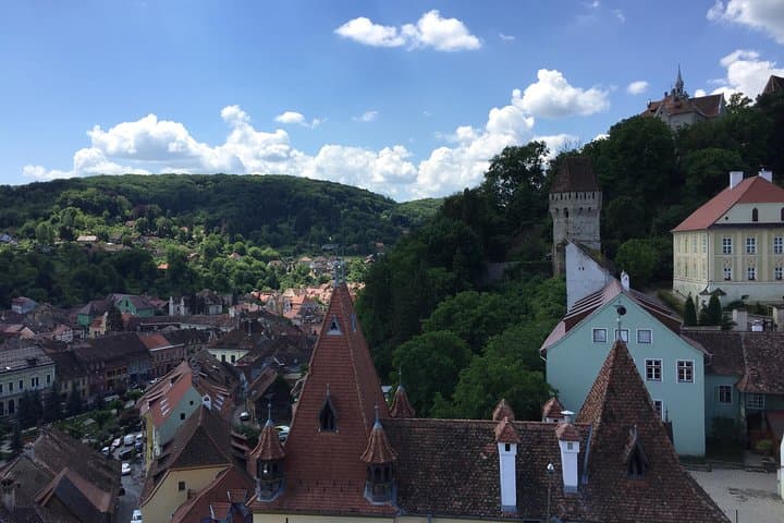 Private 2-Day Transylvania Tour from Bucharest: Bears & Castles