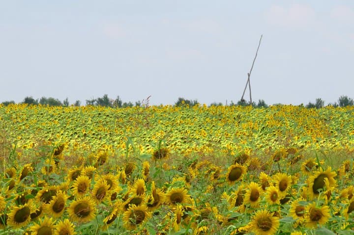 100 km by bike near Bucharest