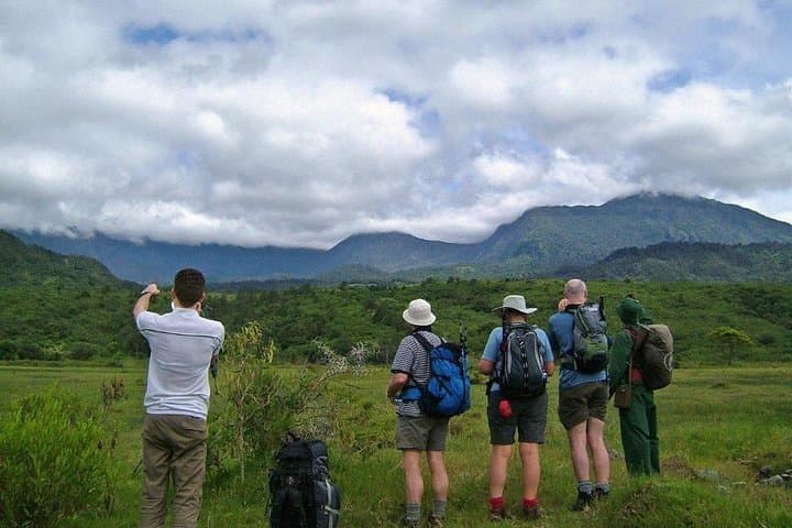 Arusha National Park Day Tour