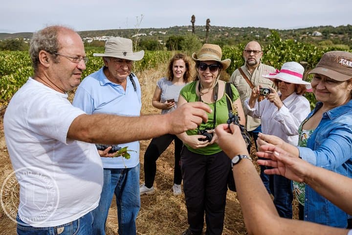 Tour & Wine tasting - Authentic Algarve Flavours by Quinta da Tôr