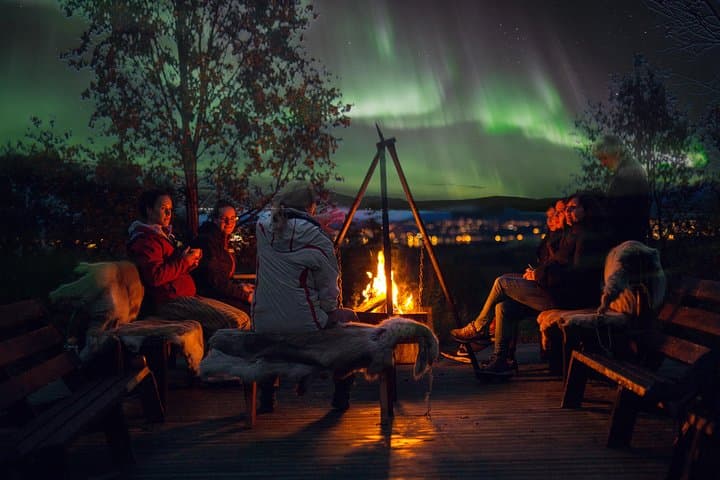Northern Lights Husky Visit