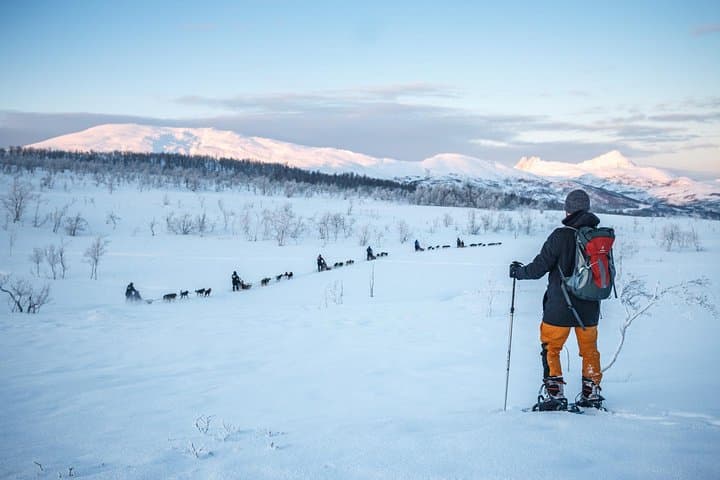 Guided Morning Snowshoe Hike with Huskies