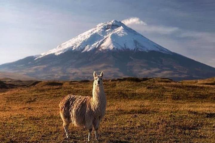 Discover Cotopaxi: All Inclusive Hiking Tour