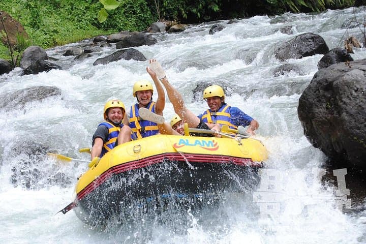 Combination Heaven Gate, Rafting, & Swing All Includes