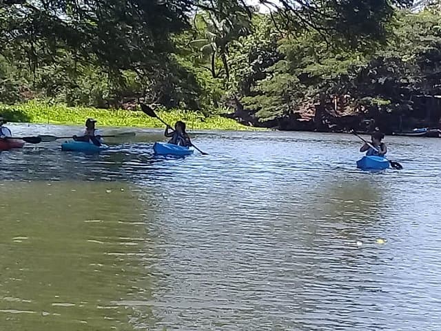 Isletas de Granada en Kayak
