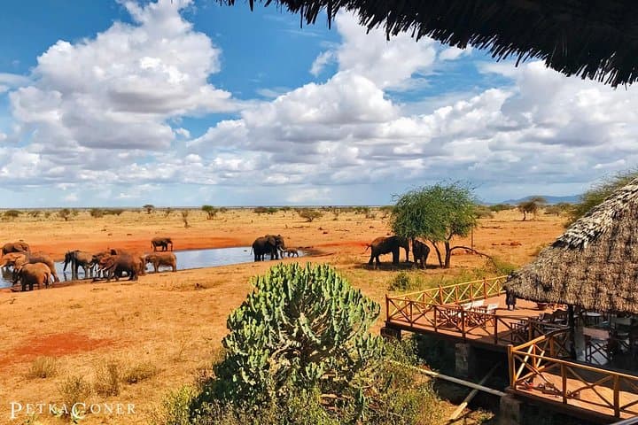 3 Days Tsavo East & Ngutuni Safari ( Minimum 2 persons)