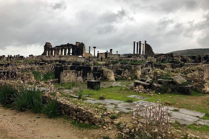 Fes to volubilis and meknes day trip