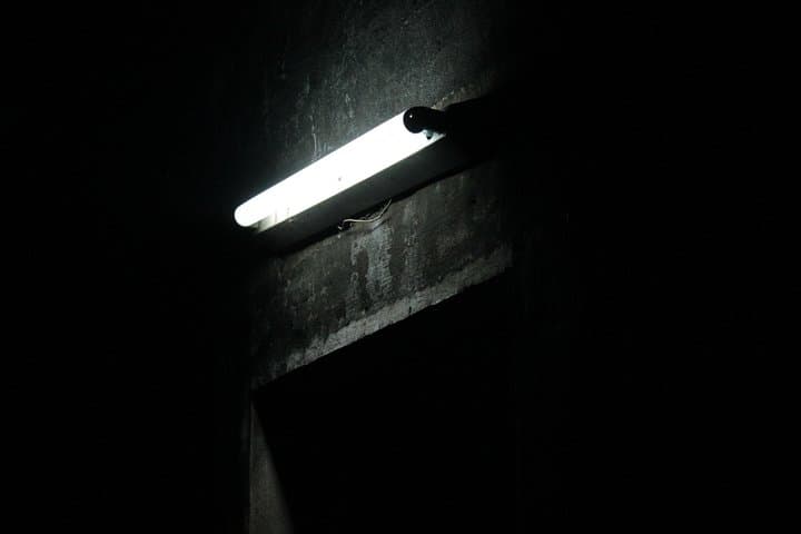 Survival Instinct Escape Game
