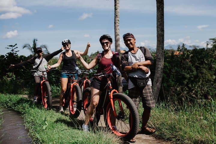 Private Fat Tire E-Bike Tour in Ubud