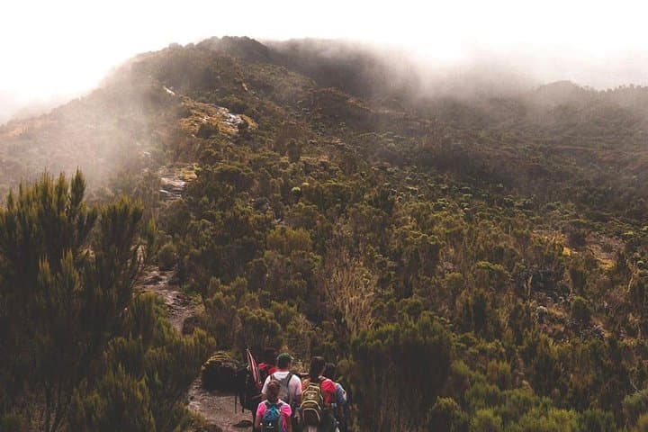 7 Days Kilimanjaro Lemosho route details