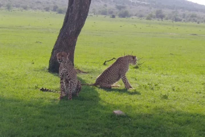 Nairobi National park