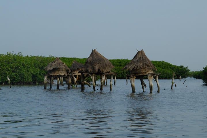 Sensafari Yo private driver & tour guide in the shell island