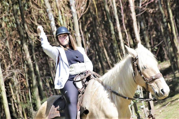 Adrenalin Mystic Tour Full Service