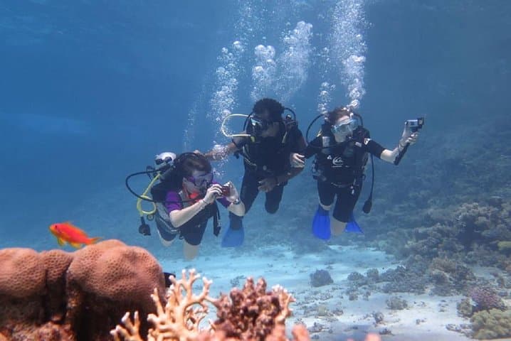 Padi Scuba Diving In Marsa Alam