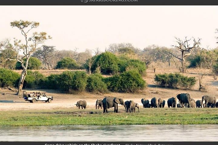 Chobe Full Day Trip