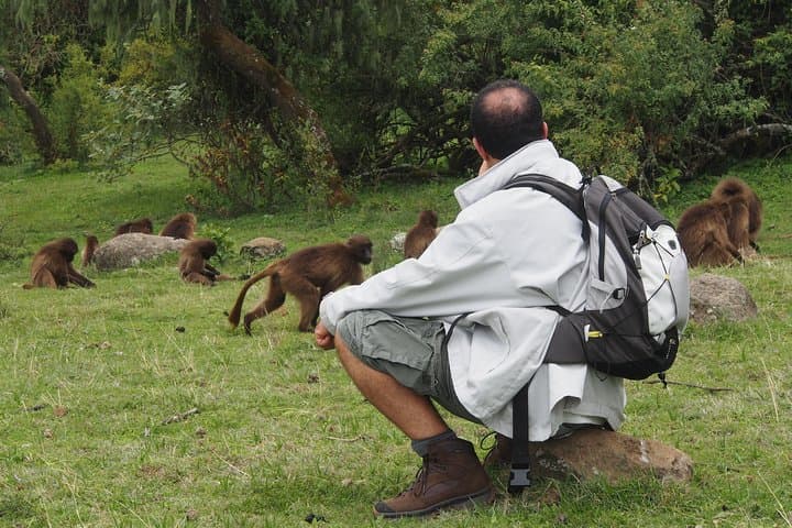 Debre Libanos Day Tour: Gelada Baboons & Portuguese bridge