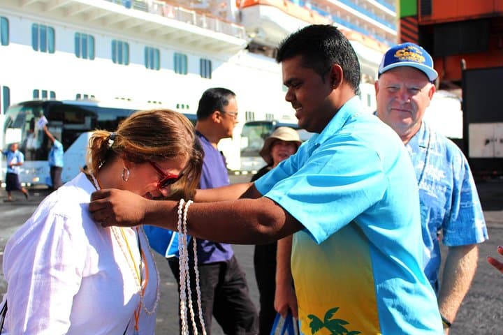 Private Transfer: Intercontinental Resort and Spa to Nadi Airport