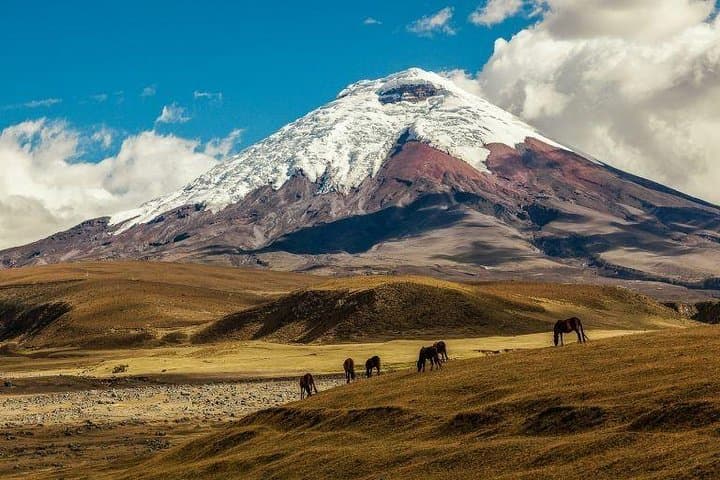 Slow travel through Cotopaxi, Quilotoa, Banos and Amazon Rainforest