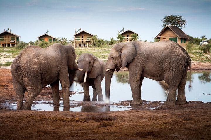 7 Day Highlights Of Botswana Overland Tour – ACCOMODATED (midrange)