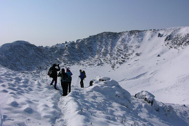 Customized Private JEJU Hiking Tour for 7 days (Mt. Hallasan and Olle Course)
