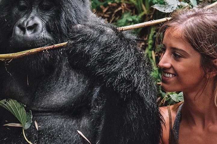 From Kigali: 10 Hour Day-trip Rwanda Gorilla Trekking with Lunch
