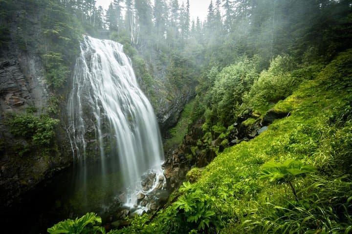 Mt. Rainier National Park Highlights Tour