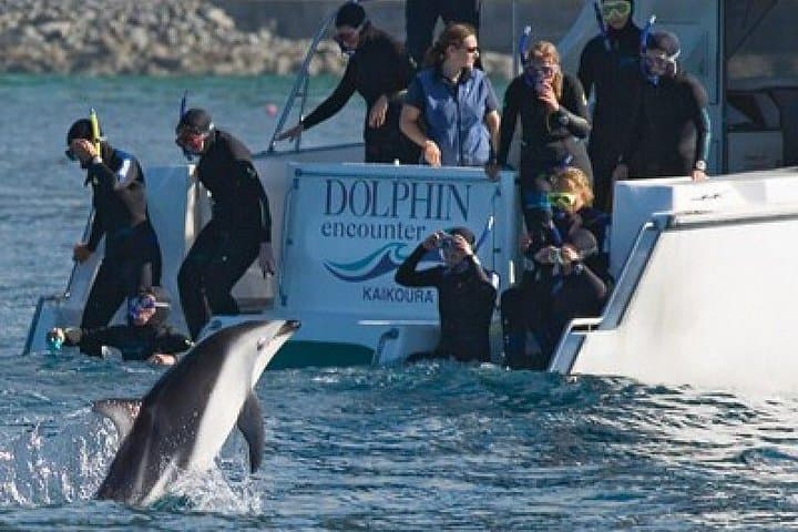 2 Day Kaikoura Whale and Dolphin Tour from Christchurch