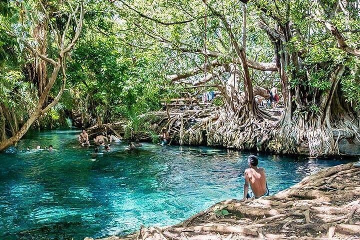 Kikuletwa Hotsprings/ Maji moto Day Trip