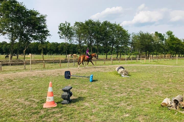 Riding course for all levels 1/2 day (3 hours)